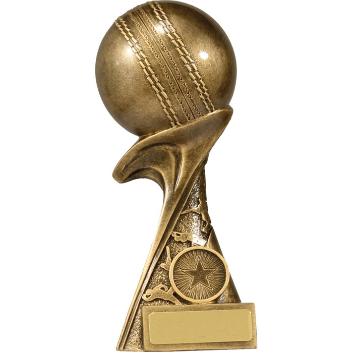 Pinnacle6 Bowling Cricket Award 3 sizes free engraving & p&p 