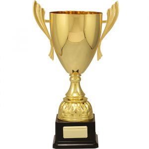 Iron Man Gold Cup