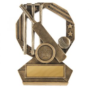 Bronzed Aussie Cricket