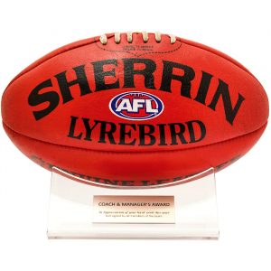 Acrylic Ball Holder - AFL / Aussie Rules