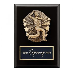 Cosmos Black Plaque Cricket Male Bowler