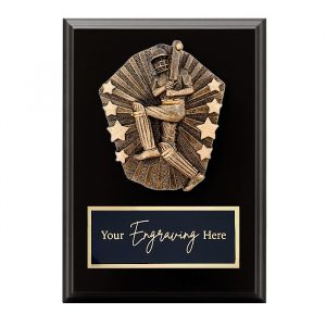 Cosmos Black Plaque Cricket Male Batsman