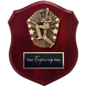 Cosmos Shield Cricket Male Batsman