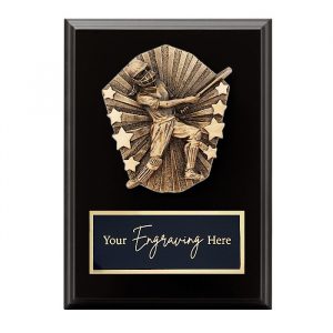 Cosmos Black Plaque Cricket Female Batting