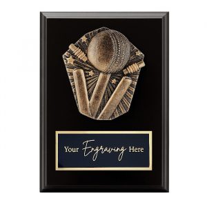 Cosmos Black Plaque Cricket Theme