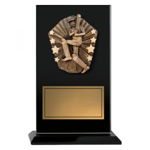 Cosmos Glass Cricket Male Batter
