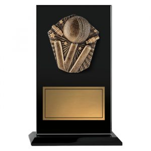 Cosmos Glass Cricket