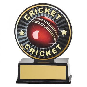 Vibe Cricket