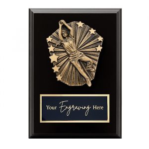 Cosmos Black Plaque Cricket Female Fielding