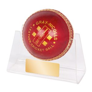 Acrylic Ball Holder - Cricket