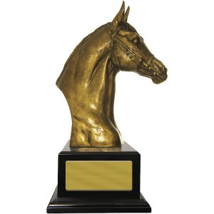 Horsehead Honour on Black Timber Base