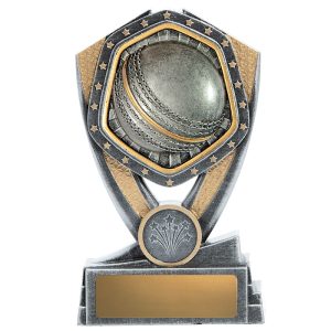 Hero Tower Cricket Ball