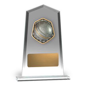 Hero Tower Glass Cricket Ball