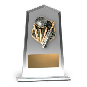 Hero Tower Glass Cricket Theme