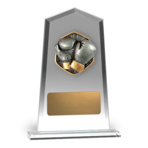 Hero Tower Glass Boxing