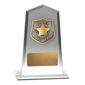 Hero Tower Glass Winner