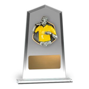 Hero Tower Glass Referee