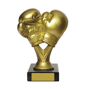 Golden Boxing Gloves