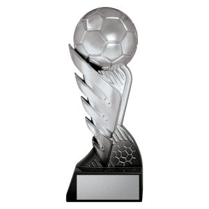 Pegasus Silver / Black - Football / Soccer