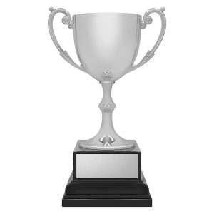 Ace Recognition - Silver