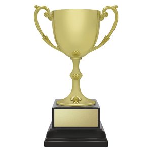 Ace Recognition - Gold