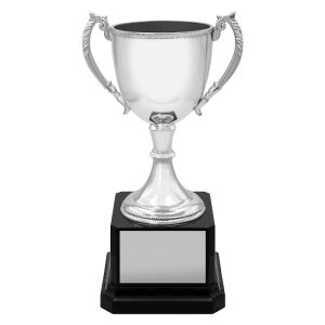 Ultimate Cup - Silver