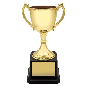 Ultimate Cup - Gold