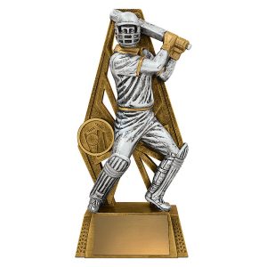 Cyber Cricket - Batting