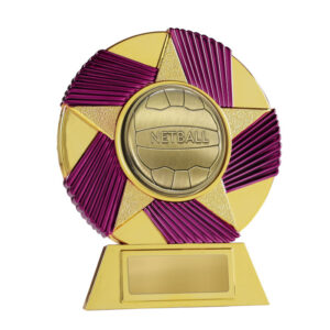 Sunray Mini Netball Ball - Purple