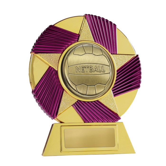 Sunray Mini Netball Ball - Purple