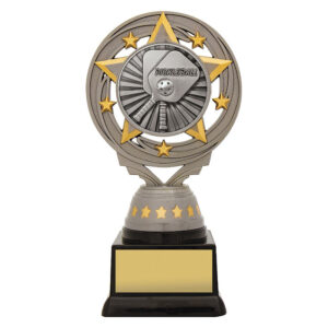 Silver Pickleball Torch