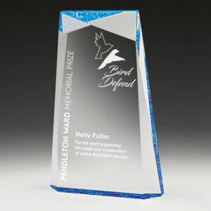 Ballast Blue Acrylic