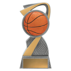 Arclight Basketball Colour